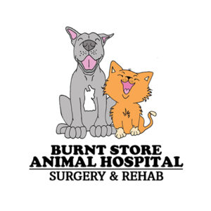 Burnt Store Animal Hospital logo