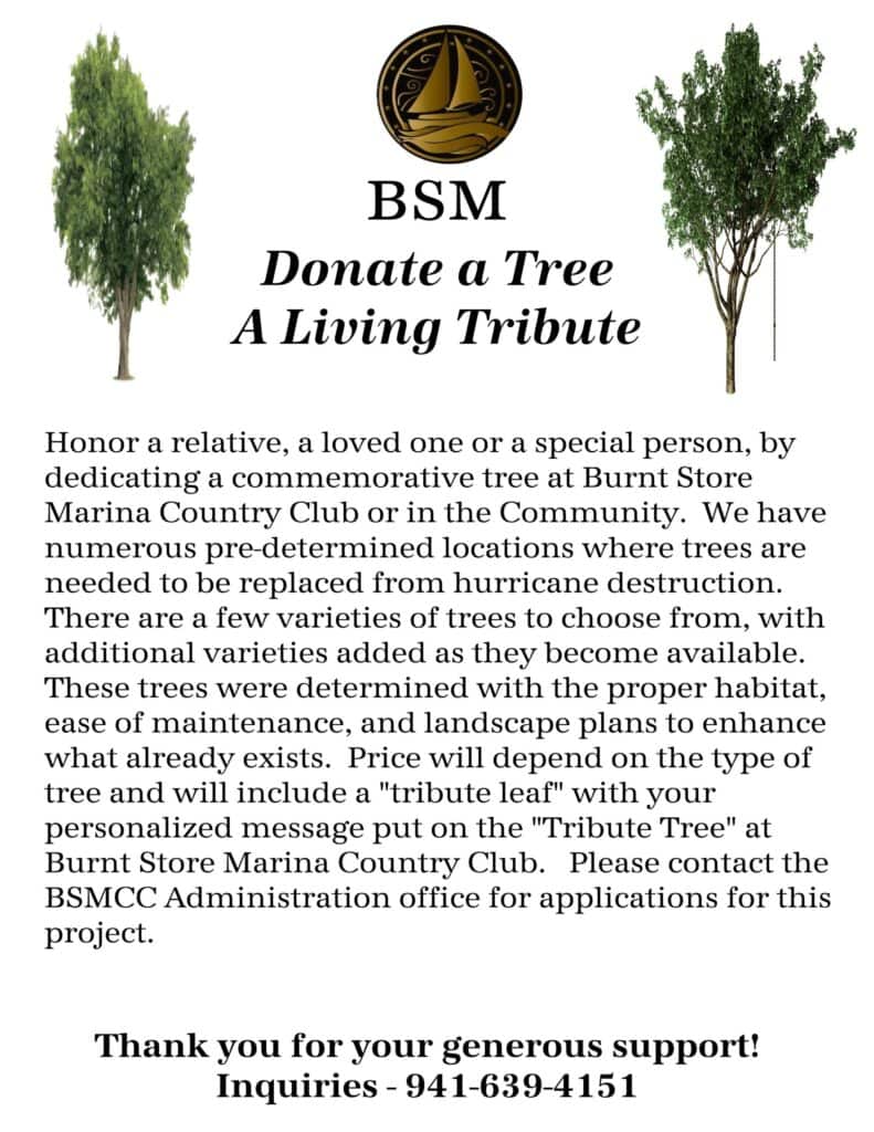BSM Donate a Tree A Living Tribute