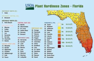 USDA Plant Hardiness Zones - Florida