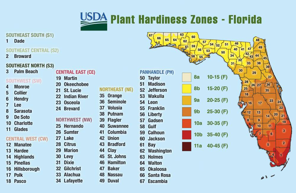 USDA Plant Hardiness Zones - Florida